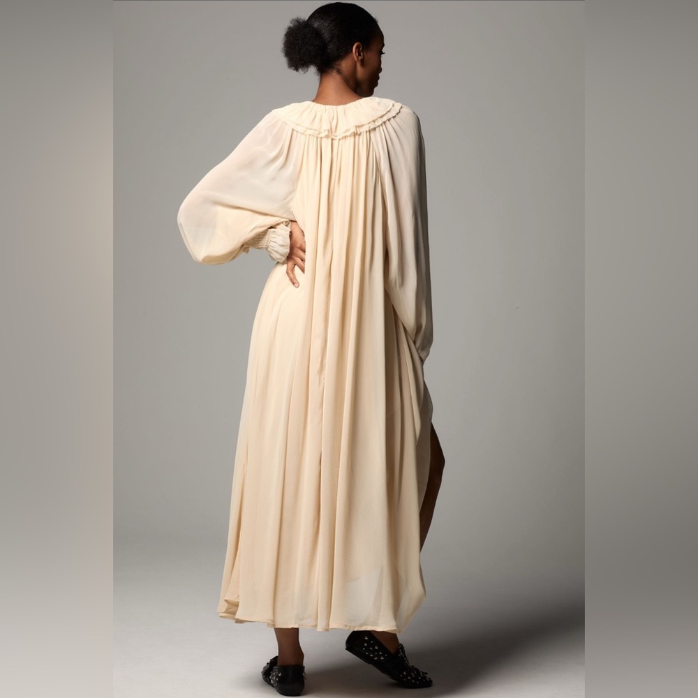 NWT ANTHROPOLOGIE Long Sleeve Sheer Pleated Maxi Dress Neutral XS-M - Picture 2 of 16
